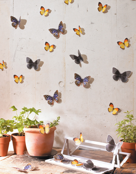 Butterfly sticky Butterfly sticky
